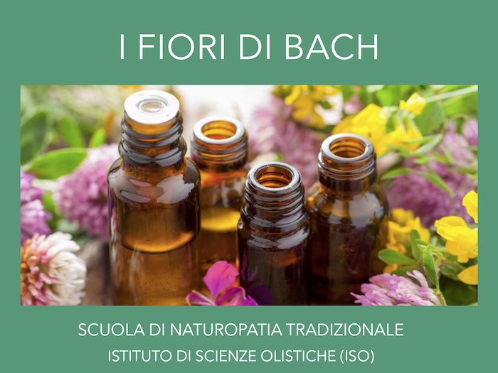 I fiori di Bach